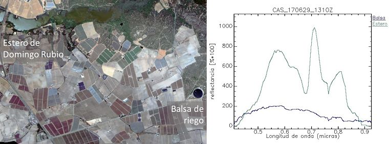 Estero de Domingo Rubio y balsa de riego (Huelva) - Sensor AHS INTA