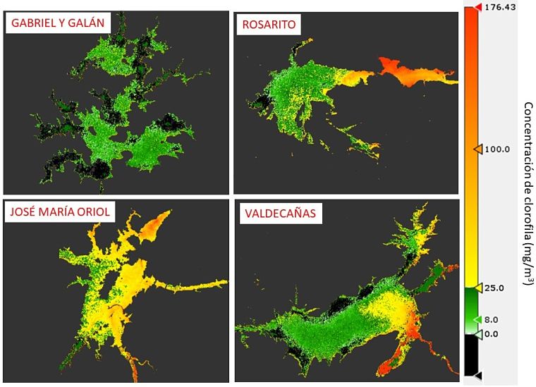 Concentración de clorofila en los diferentes embalses