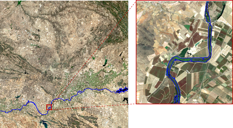 Imagen Sentinel-2 del camalote en el río