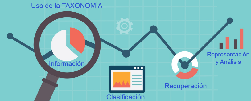 taxonomías_1