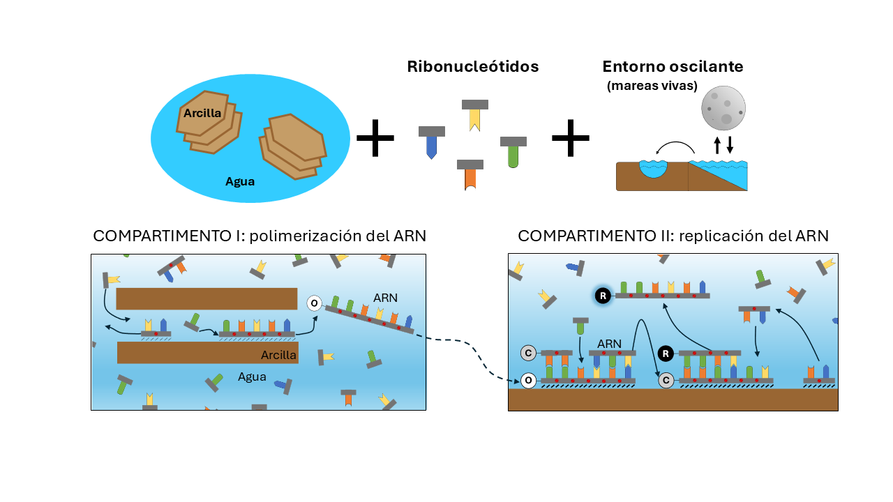 imagenListadoNoticiasINTA