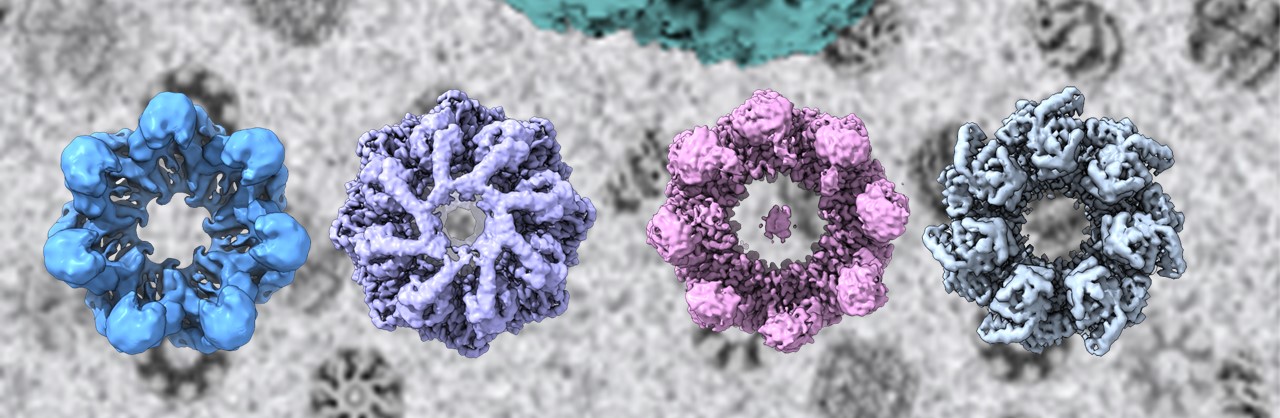 imagenListadoNoticiasINTA