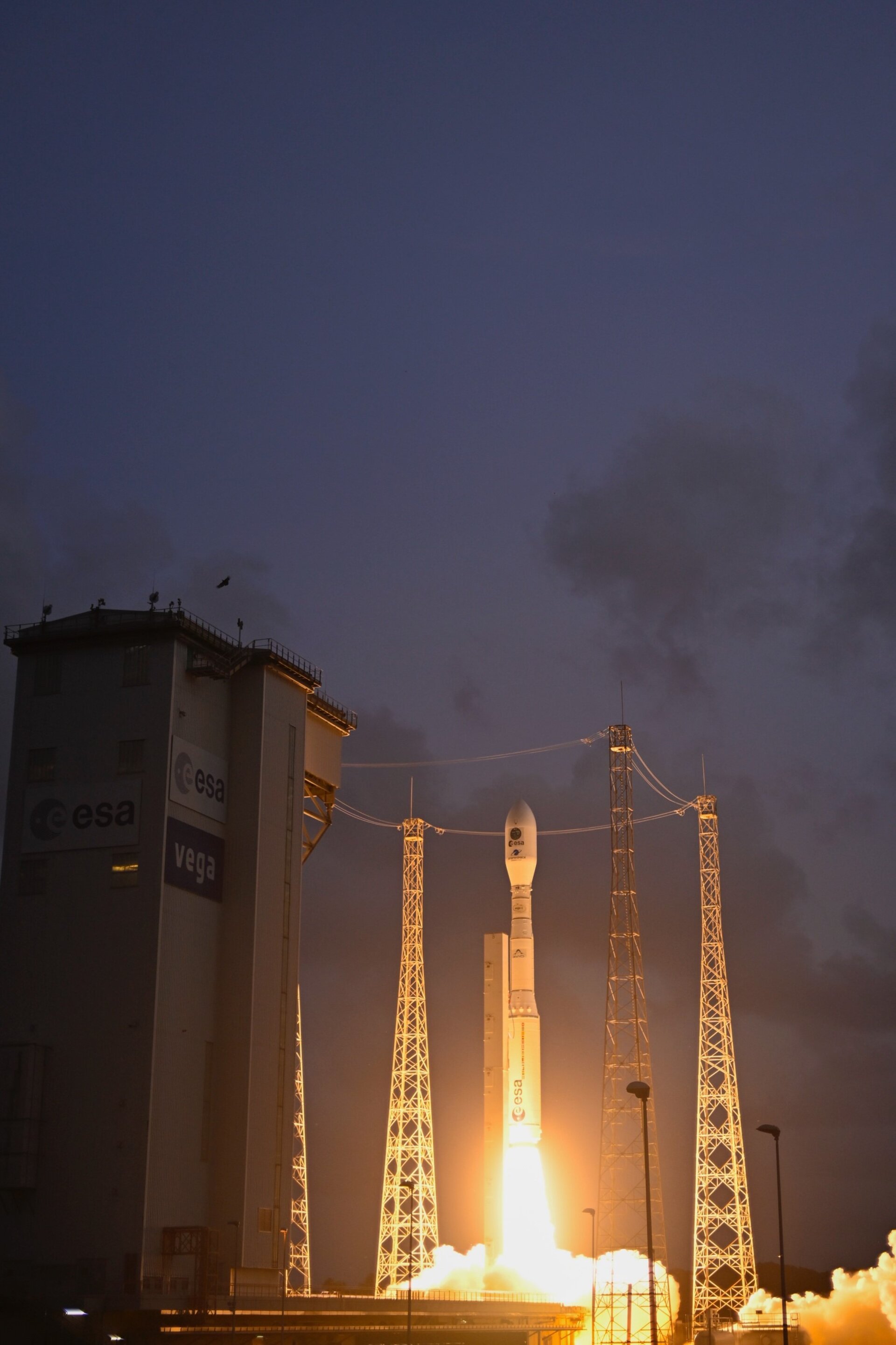 Biomass_on_its_way_to_orbit_pillars