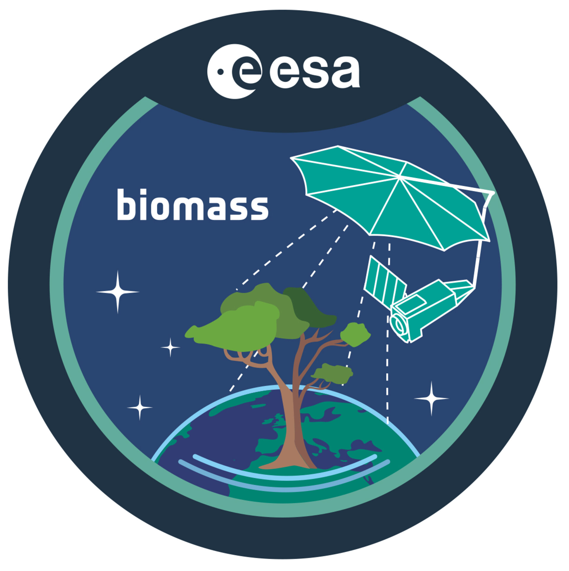 Biomass_pillars