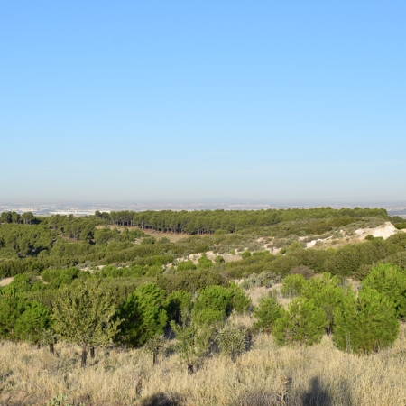 Centro INTA - La Marañosa