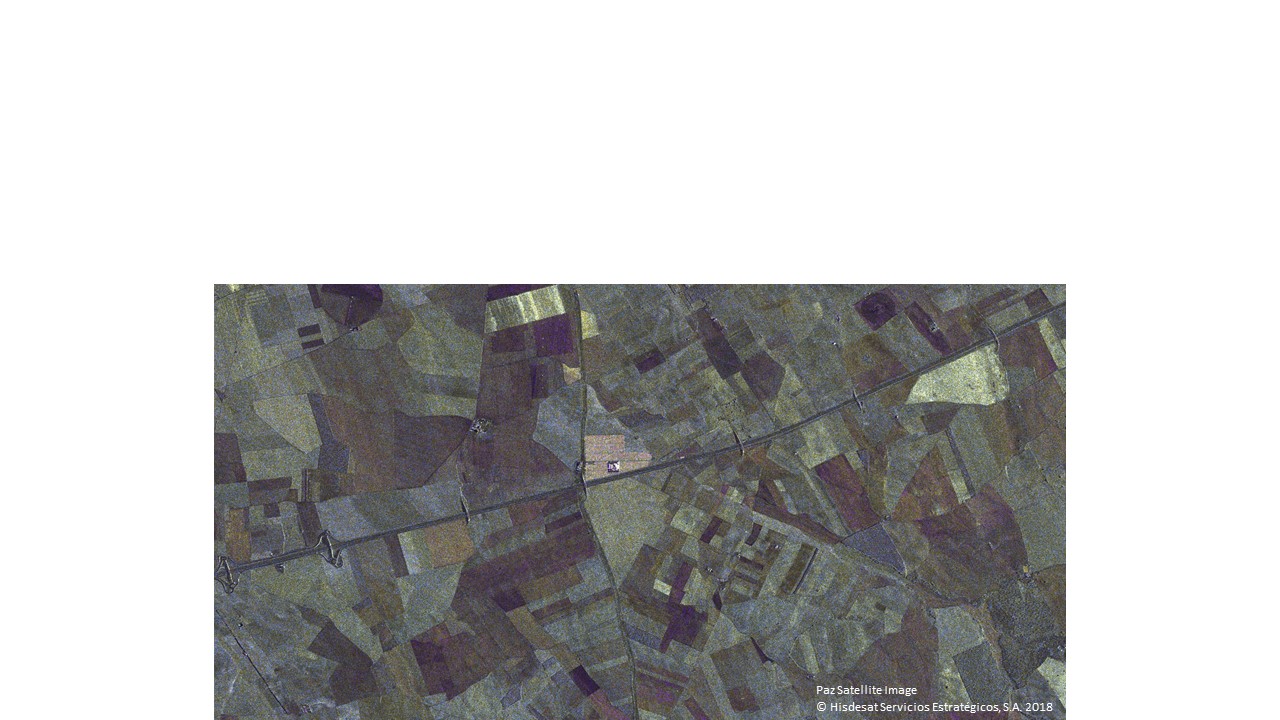 SAR_08_20190208