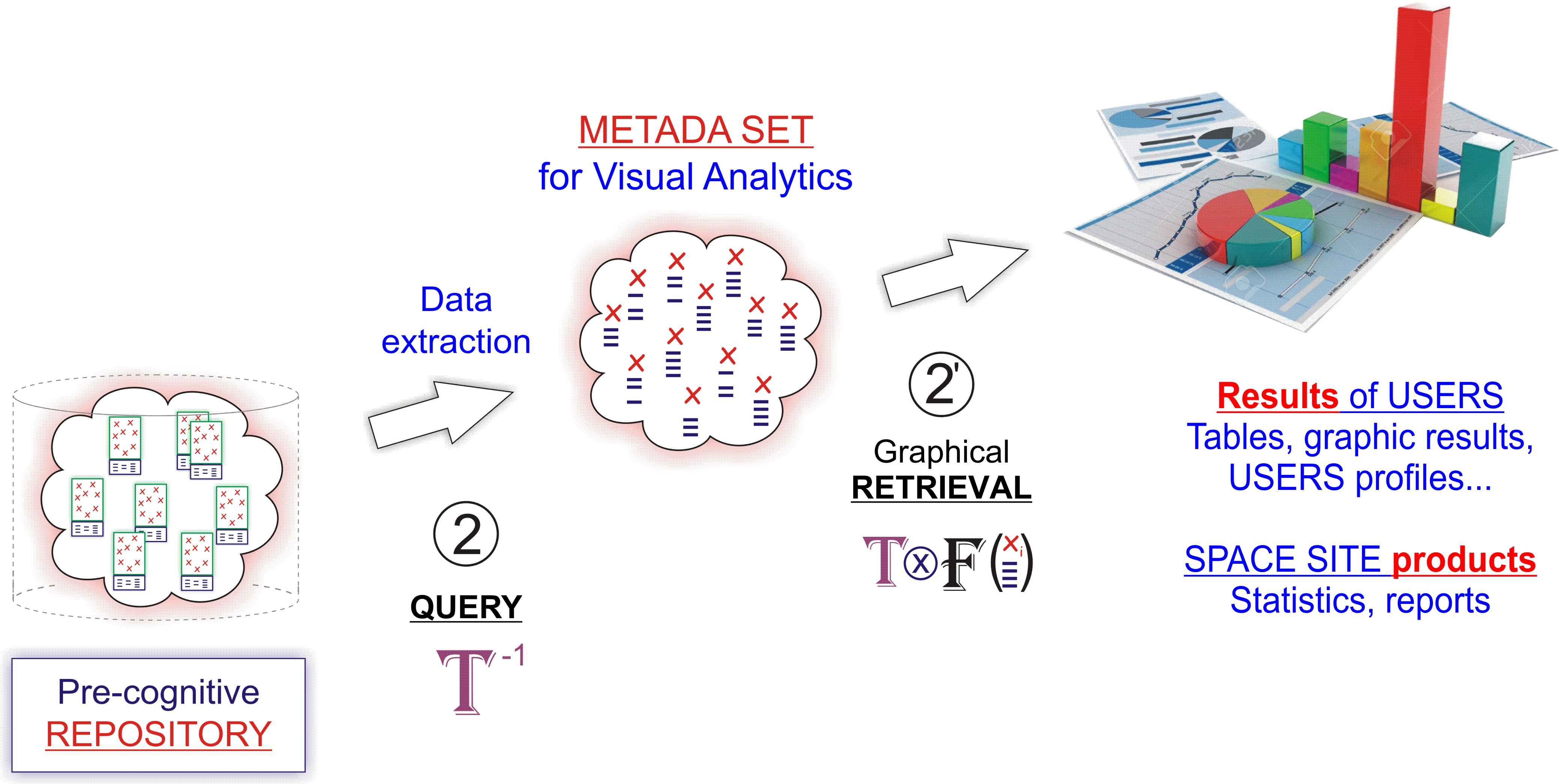 COMPET 6-Taxonomy-Query and retrieve